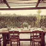 Villa Trulli Francesca Ciclovia *