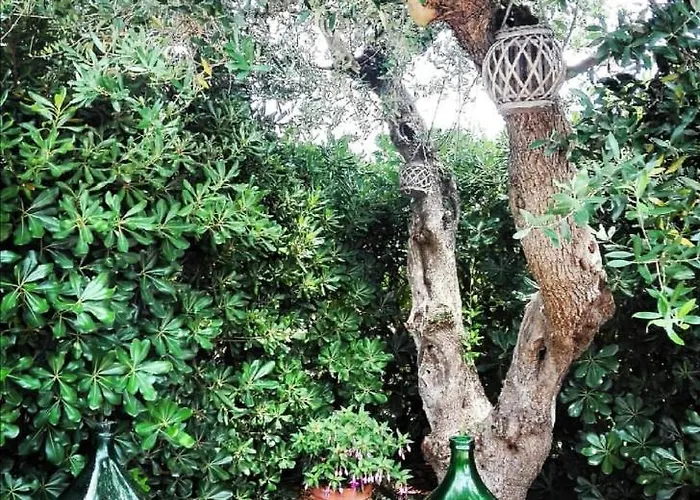 Trulli Francesca Ciclovia