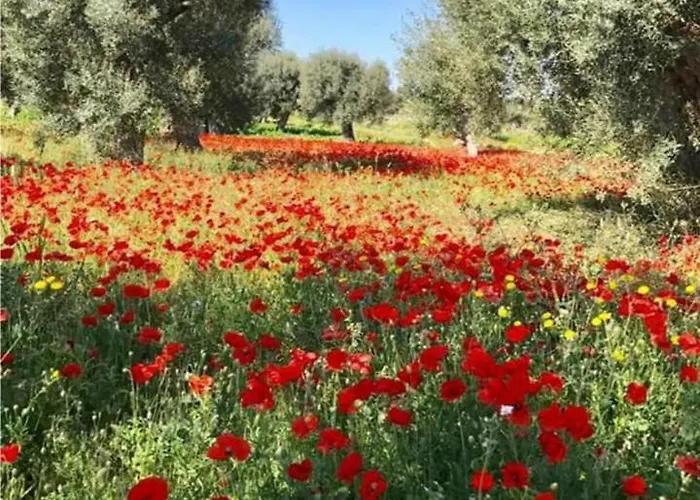 Trulli Francesca Ciclovia Locorotondo