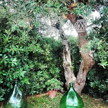 Trulli Francesca Ciclovia