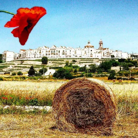 Trulli Francesca Ciclovia *