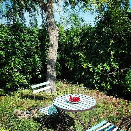 Trulli Francesca Ciclovia Βίλα Locorotondo